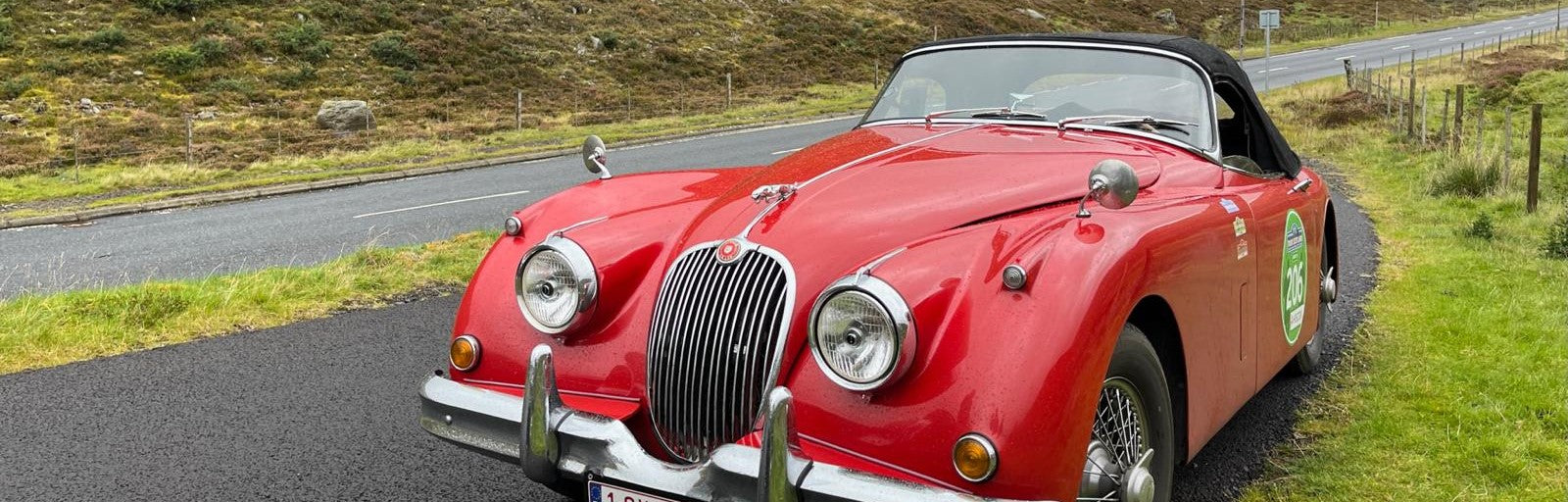 Stitzy Car Collection